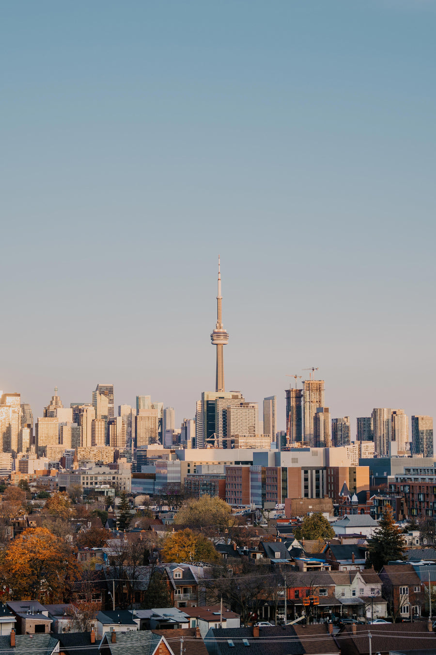 a toronto neighbourhood