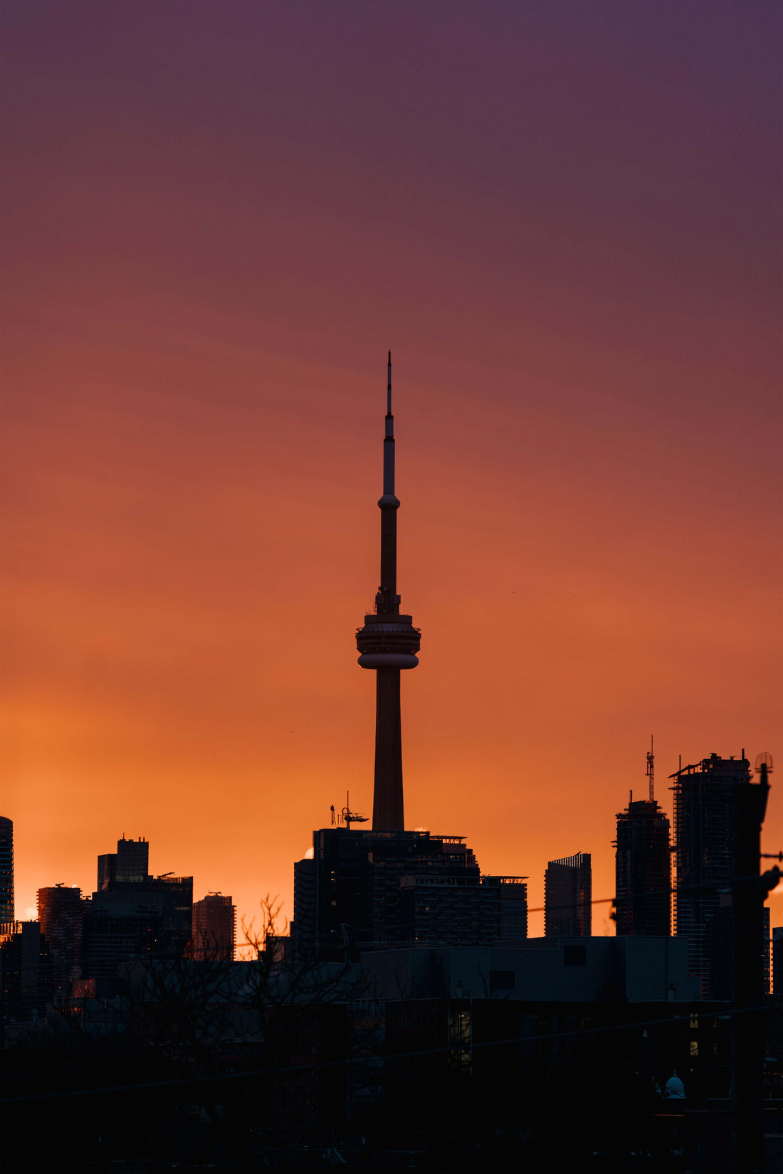 toronto's skyline in silhouette