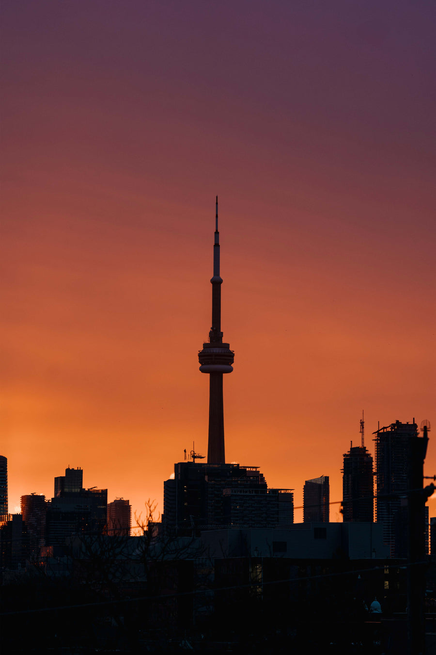toronto's skyline in silhouette